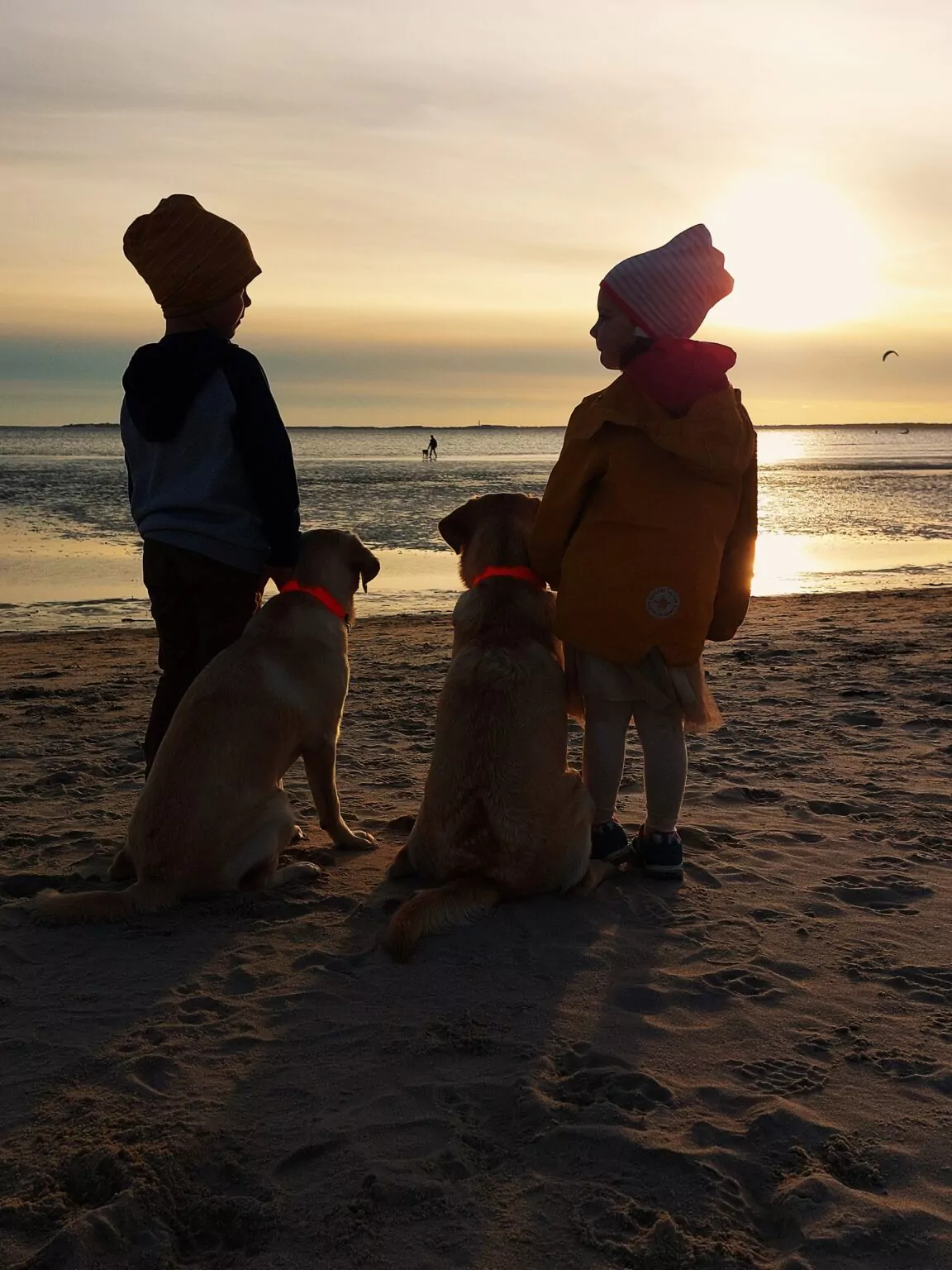 Zwei Kinder mit zwei Labradoren am Nordseestrand im Abendlicht